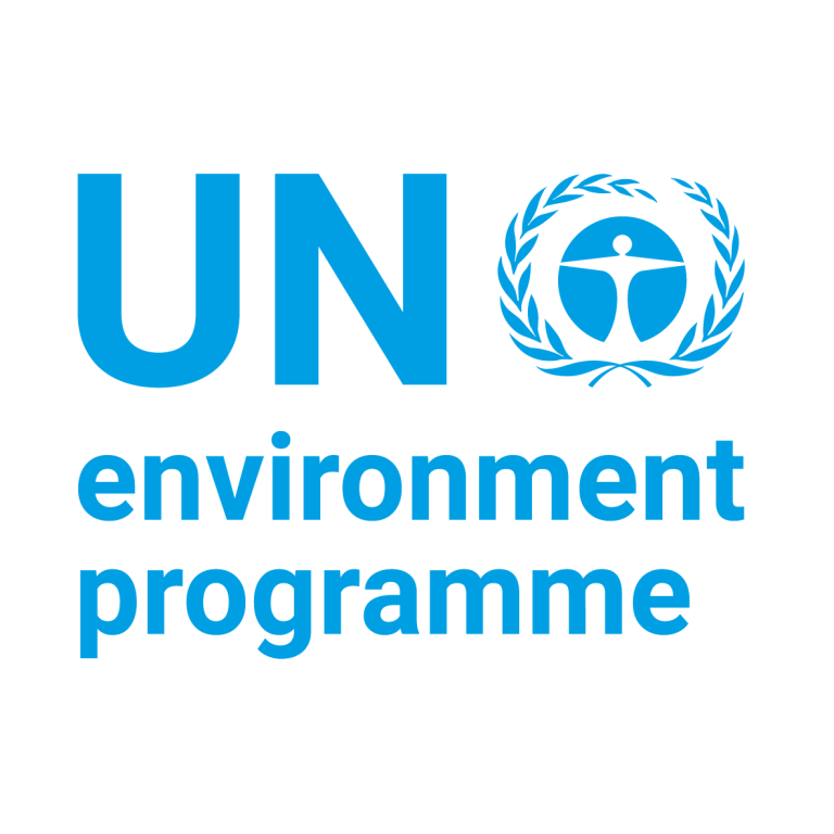 UNEP_2019_EnglishFC